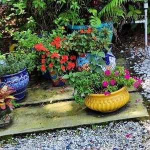 Meet your Posher, Casey